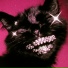 VOIDCAT