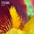 Tescana