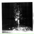 11A - 5 - Lisa B, Black Light Smoke
