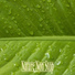 Nature Non Stop
