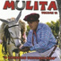 Mulita
