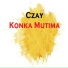 Czay