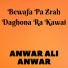 Anwar Ali Anwar