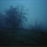 emptyrose