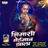 Vijayraj Nikam