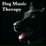 Diggity Dog Pet Music