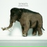 The Presets