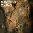 Manongo Mujica