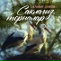 Тагир Саляев