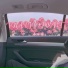 苏球球