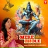 Rashmi M Agrawal
