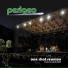 Perigeo