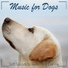 RelaxMyDog, Dog Music Dreams, Pet Music Therapy