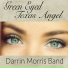 Darrin Morris Band