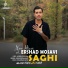 Ershad Mosavi
