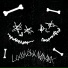 LockyLok, NOPAN1C
