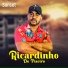 Ricardinho do Piseiro