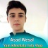 Asad Wesal