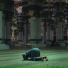 Halal Voices