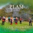 Plam