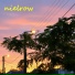 nielrow