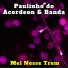 Paulinho do Acordeon & Banda