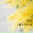 许雅曦, 董璐