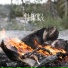 VEДА