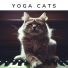 Piano for cats
