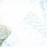 submerse