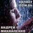 Андрей Михайленко