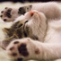 Deep Sleep Meditation, Sleep Tight, Instrumental