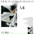 A4