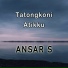 Ansar S
