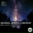 Several Spirits
