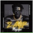 Zayir