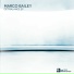 Marco Bailey