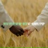 VC-HumblePop