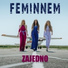 Feminnem
