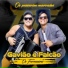 Gavião, Falcão