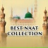 Shoaib Raza Qadri