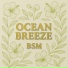 BSM