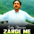 Sadiq shenwari