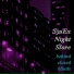 SysEx Night Store