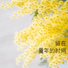 许雅曦, 董璐