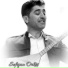 Sefqan Orkêş