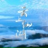 张朝夕