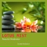 Guided Meditation