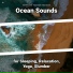 Shoreline Sounds, Ocean Sounds, Nature Sounds
