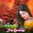 Paroo